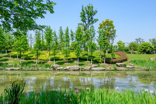 植物园 自然 公园 美丽 植物