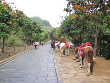 茶马古道