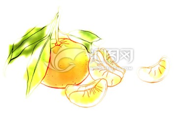 手繪柑