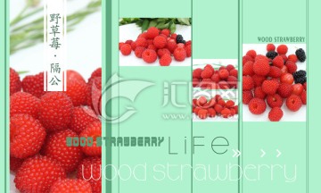 野草莓 野果 水果折页