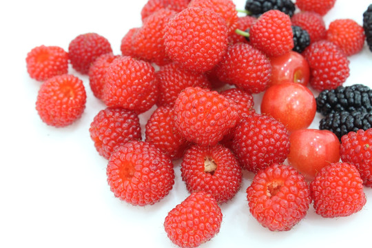 野草莓 隔公 红果子