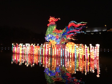 大唐芙蓉园鸡年灯会