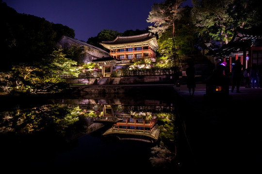 韩国 首尔 昌德宫夜景