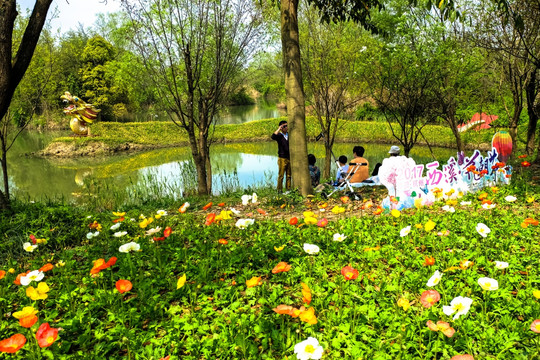 唯美鲜花