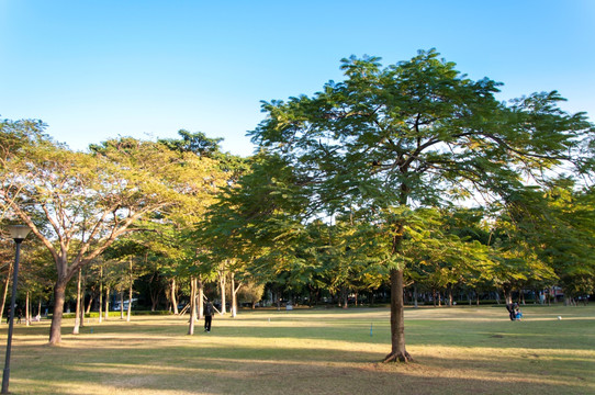 广州二沙岛公园