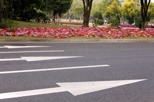 道路