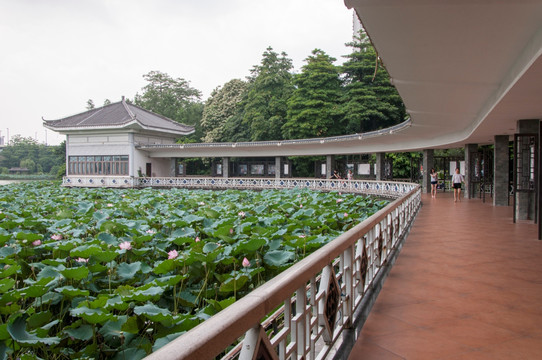 广州荔湾湖公园海山仙馆