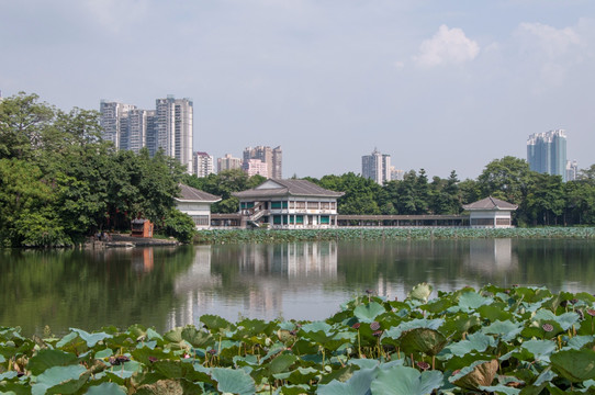 广州荔湾湖公园海山仙馆