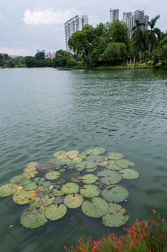 广州流花湖公园