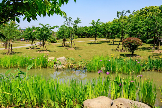 植物园景观 植物园 公园环境