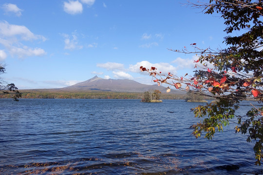 北海道大沼湖秋景