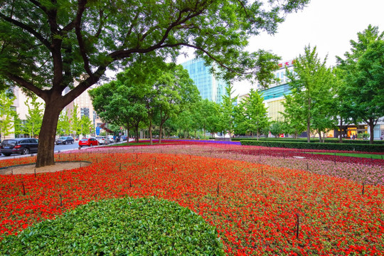 金融街绿化 城市绿化 立体花坛