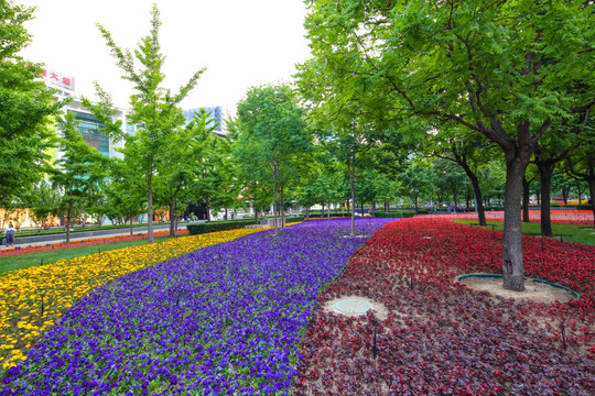 金融街绿化 城市绿化 立体花坛