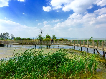 滇池湿地 