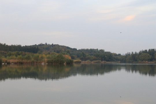 山水风景