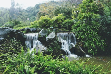 重庆理工大学