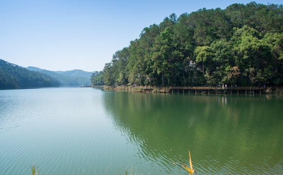 梅子湖栈道