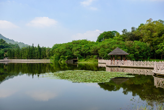 阳光湖泊栈道