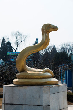 金蛇雕塑