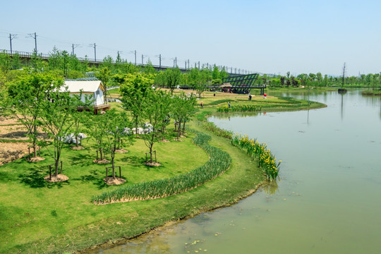 宁波植物园 休闲公园 植物