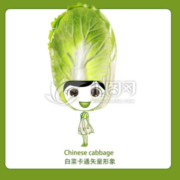 卡通白菜 大白菜 卡通蔬菜
