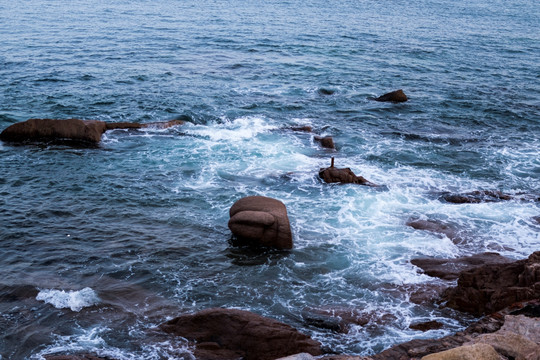 海水礁石