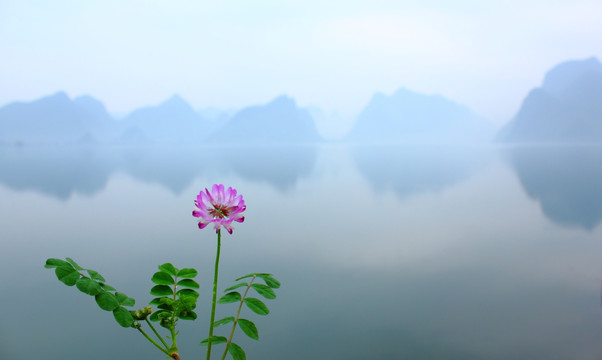 鲜花山水