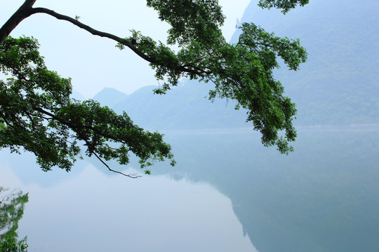 金鸡河水库