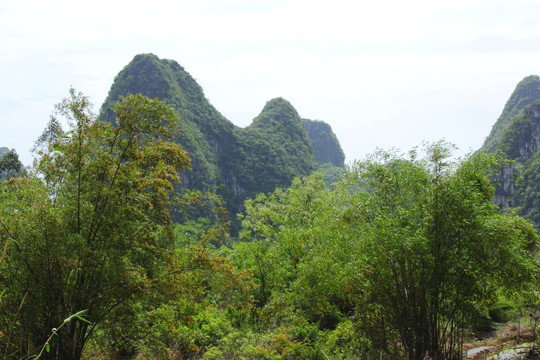 绿色山峰