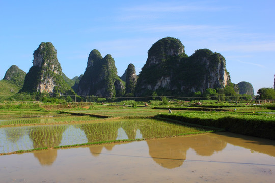 奇峰田园