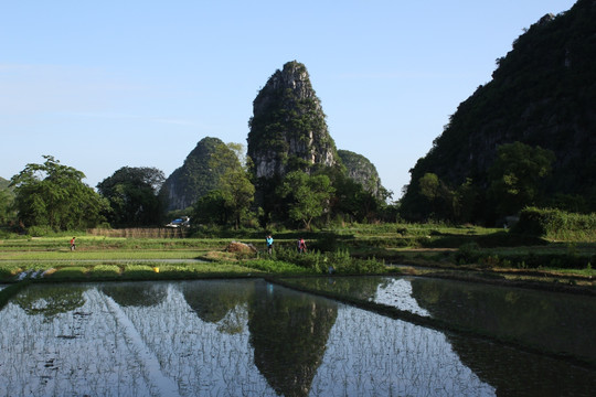 奇峰