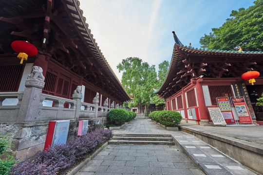 广州光孝寺