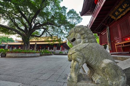 广州光孝寺