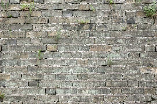 高清南京明城墙铭文砖墙面实拍