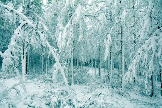 冰雪世界 童话世界