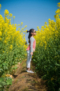 油菜花地