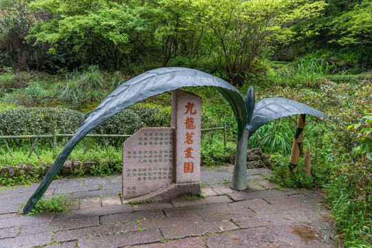 武夷山大红袍风景区