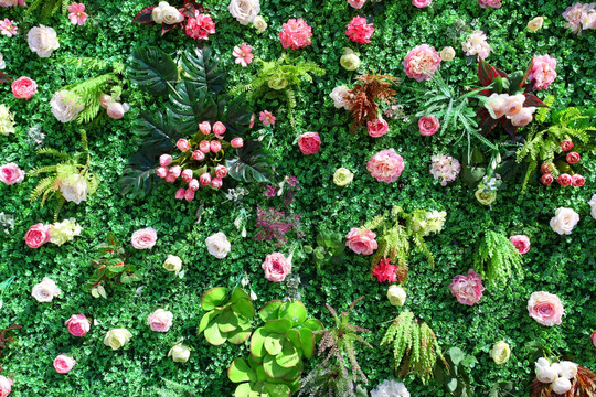 绿色植物墙 花墙 绿植