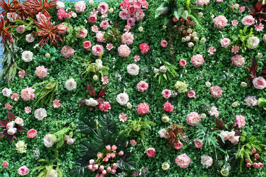 花墙 绿植 植物墙