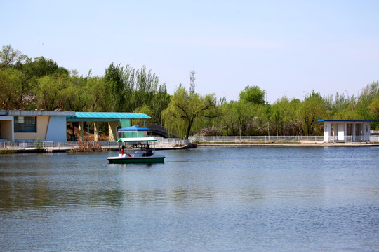 大庆 儿童公园 绿树 湖水