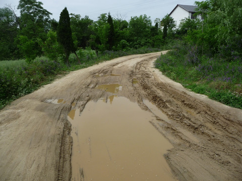 泥泞的道路