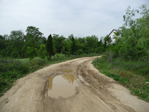 泥泞的道路