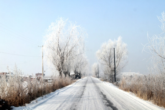 乡村公路 雾凇 美景