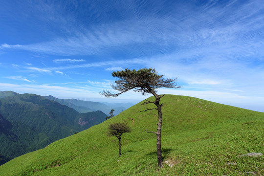 江西武功山