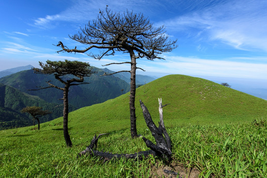 江西武功山