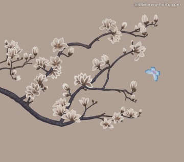 玉蘭藍(lán)蝴蝶