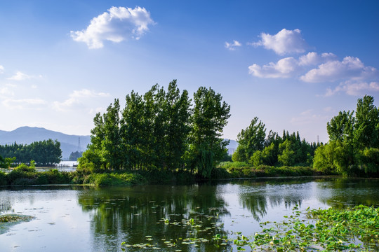 滇池湿地