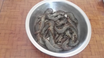 鸡尾虾