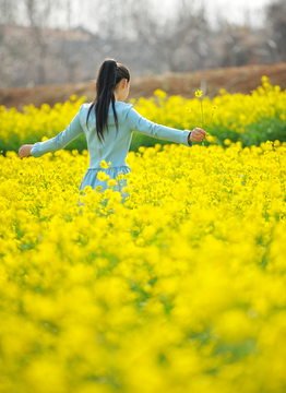 女孩背影 油菜花