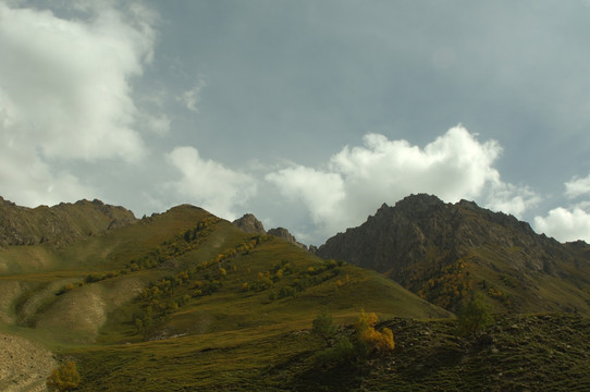 高山牧場
